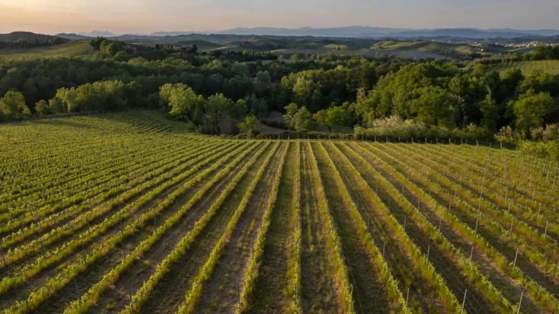 Holiday home Belvilla By Oyo Olmo Gambassi Terme