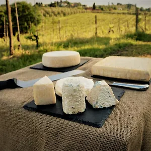 Bed & Breakfast Fattoria Le Caprine, Gambassi Terme